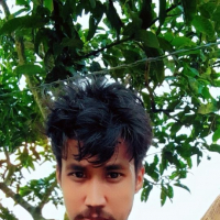 dkroy123