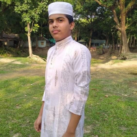 Hossain Usha