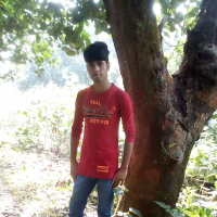 OvEi Hasan