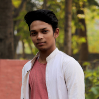 Ashiul Sayed Nayon