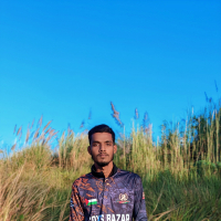 Riduan Shamim