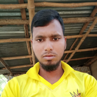 mdhabibur43459@gmail.com