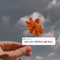 MdMarufHassa