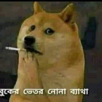 Ashik10RE