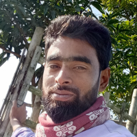 01721407018