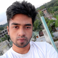 Mahmudul Hasan Siyam