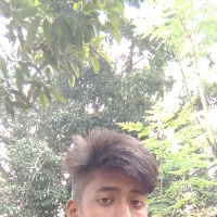 01743104355