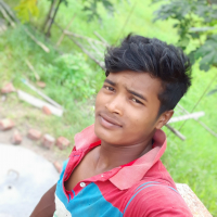 Palashgdyrhrfhdxgjtd