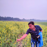মোঃ নয়ন আলী