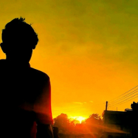 Tanvir023