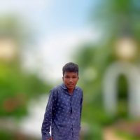 alhajmia