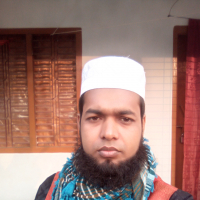 Mir Islam