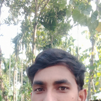 Chapal Kumar Roy