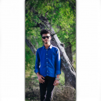 Alvi Islam Faysal