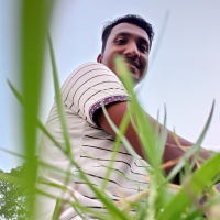 SB Ibrahim Sardar