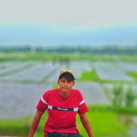 mohammadforid