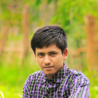 Biddut sarker