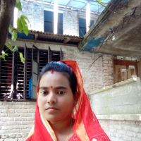 Lop Sarkar