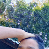 01733628982