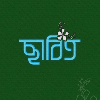 Md Sabit