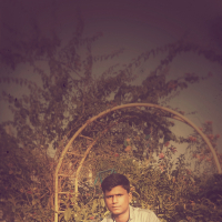 md017masud017@gmail.com