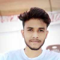 romjan ali sobuj