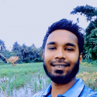 Rashed28