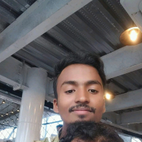 M.HASIB