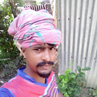provash biswas