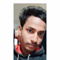 salam208