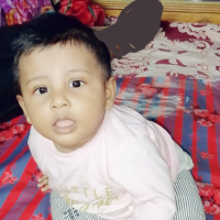 shahed5566