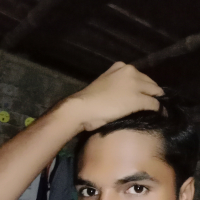 polash 1211