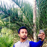 muhsakhawat1@gmail