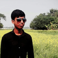 imspdream