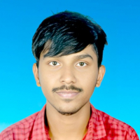 rajib551