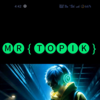 mrtopik
