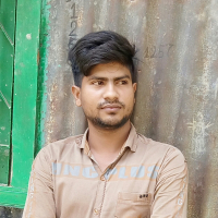 mr mamun ar rashid