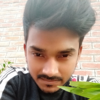 Mahmud Sumon