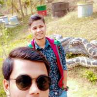 gazi Rashed