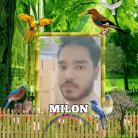 MN MILON KHAN