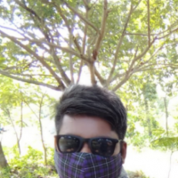 Alamin_Developer