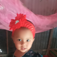 ananmul
