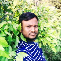 Rashedul4075