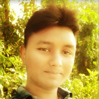 najmulislam1n
