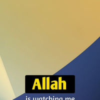 8801305020216