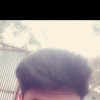 hasibfog@gmail.com