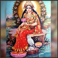 AkashVhi1