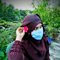 sauda afrin