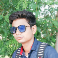 shipulshafi