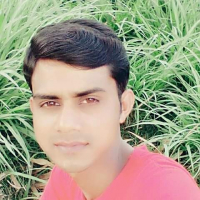 mohammod minarul isl